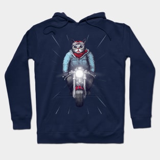 Cat Bikers Hoodie